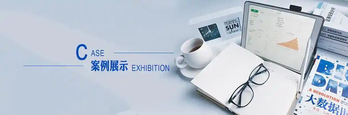 刚察县软件开发